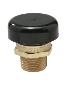 Watts 0556031 3/4 In Lead Free Brass Vacuum Relief Valve, Male Npt, Protective Cap