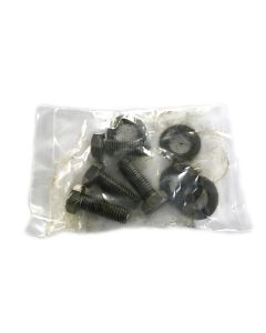 Weil-McLain 386-300-214 CTN BRNR SCREWS PWR FLM 86/88 - Product Image