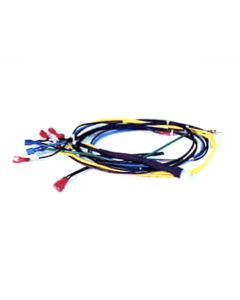 Weil-McLain 540-130-955 Assembly E with Wiring Harness EG30-75 SPN