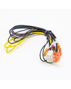 Weil-McLain 591-391-905 Wire Harness - Spark Ignition - Product Image