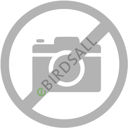 Weil-McLain 386-700-396 Beckett BB-BLR-095-S2 Model AFG Series Oil Burner, Capacity: 0.95 GPH For 3 Section Boiler, R.W. Beckett Specification: WT-201